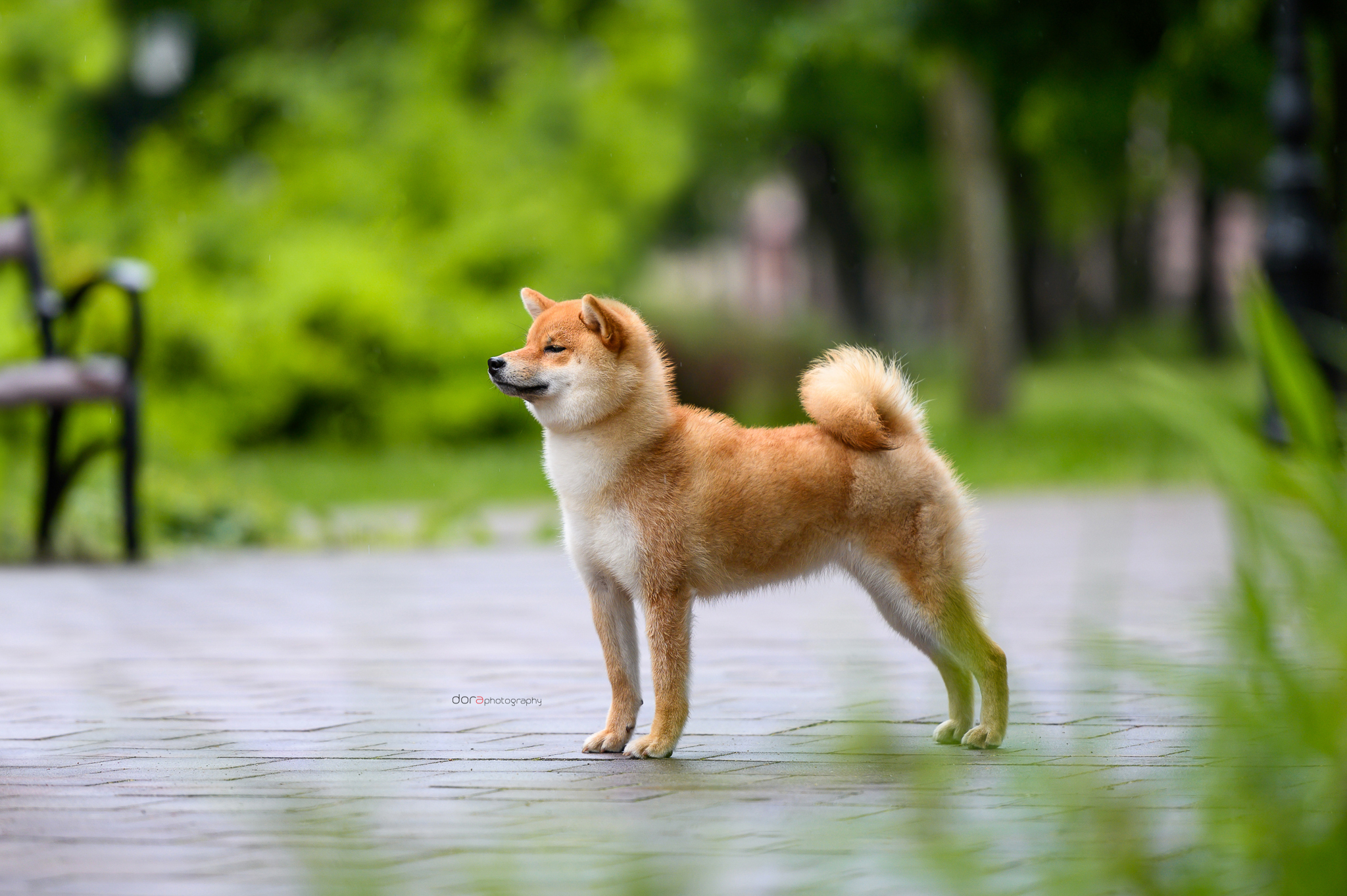 Eng yosh tranny porno